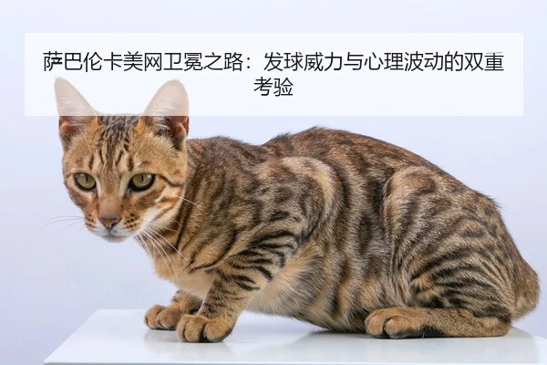 萨巴伦卡美网卫冕之路：发球威力与心理波动的双重考验