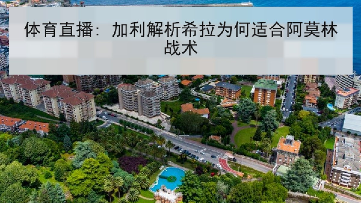 体育直播: 加利解析希拉为何适合阿莫林战术 体育直播: 加利解析希拉为何适合阿莫林战术