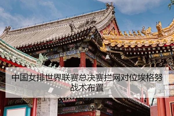 zhong-guo-nv-pai-shi-jie-lian-sai-zong-jue-sai-lan-wang-dui-wei-ai-ge-nu-zhan-shu-bu-zhi-3-838.jpg