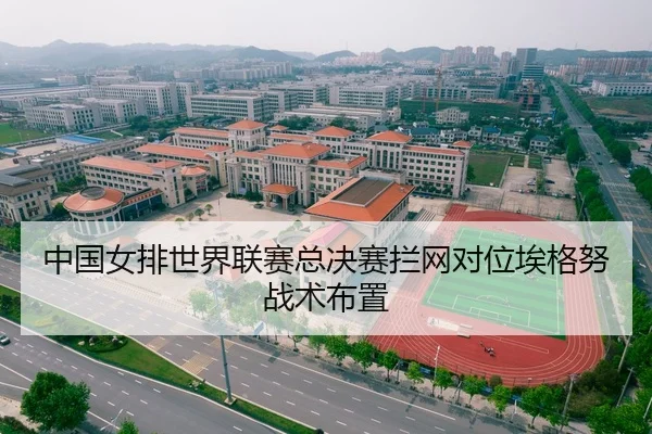 中国女排世界联赛总决赛拦网对位埃格努战术布置