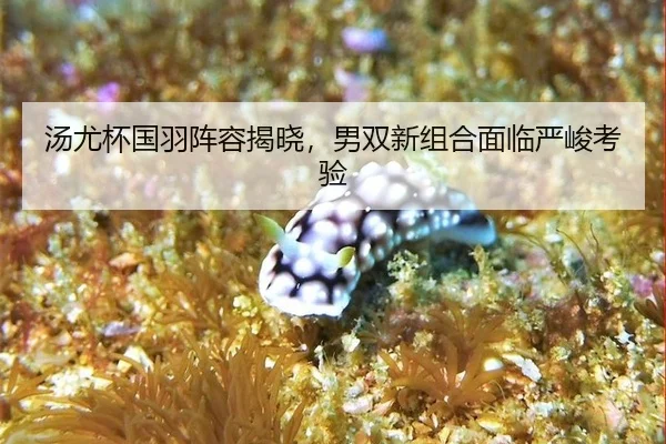 tang-you-bei-guo-yu-zhen-rong-jie-xiao-nan-shuang-xin-zu-he-mian-lin-yan-jun-kao-yan-3-866.jpg