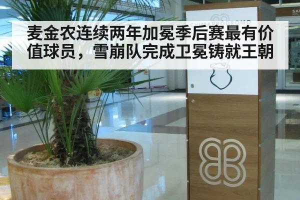 麦金农连续两年加冕季后赛最有价值球员，雪崩队完成卫冕铸就王朝