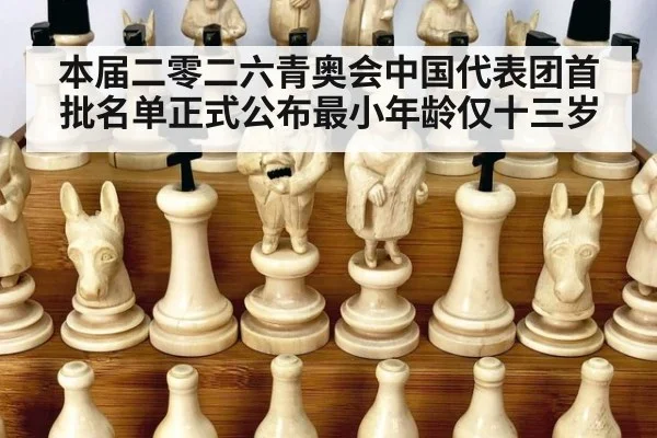 本届二零二六青奥会中国代表团首批名单正式公布最小年龄仅十三岁
