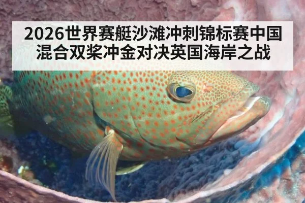 2026世界赛艇沙滩冲刺锦标赛中国混合双桨冲金对决英国海岸之战